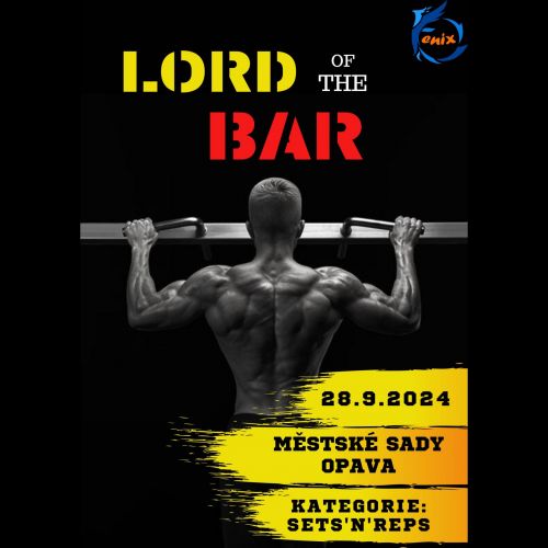 LORD of the BAR  Street Workout Parks